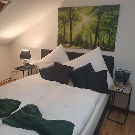 Waterfalls Apartment Triberg im Schwarzwald Extérieur photo