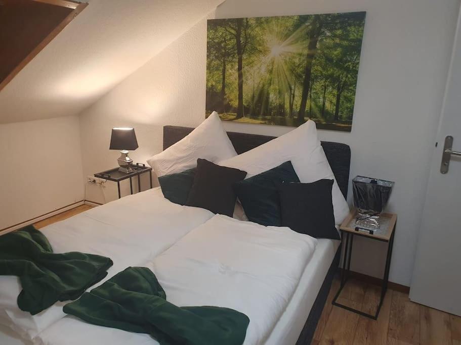 Waterfalls Apartment Triberg im Schwarzwald Extérieur photo